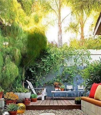  「绿植」农村小院怎样装才好看？如果我在乡下有一院子，一定要