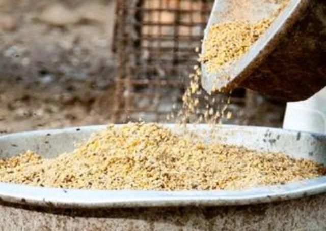  【利润】养殖火鸭成本小、利润高，养殖1000只火鸭赚多少钱