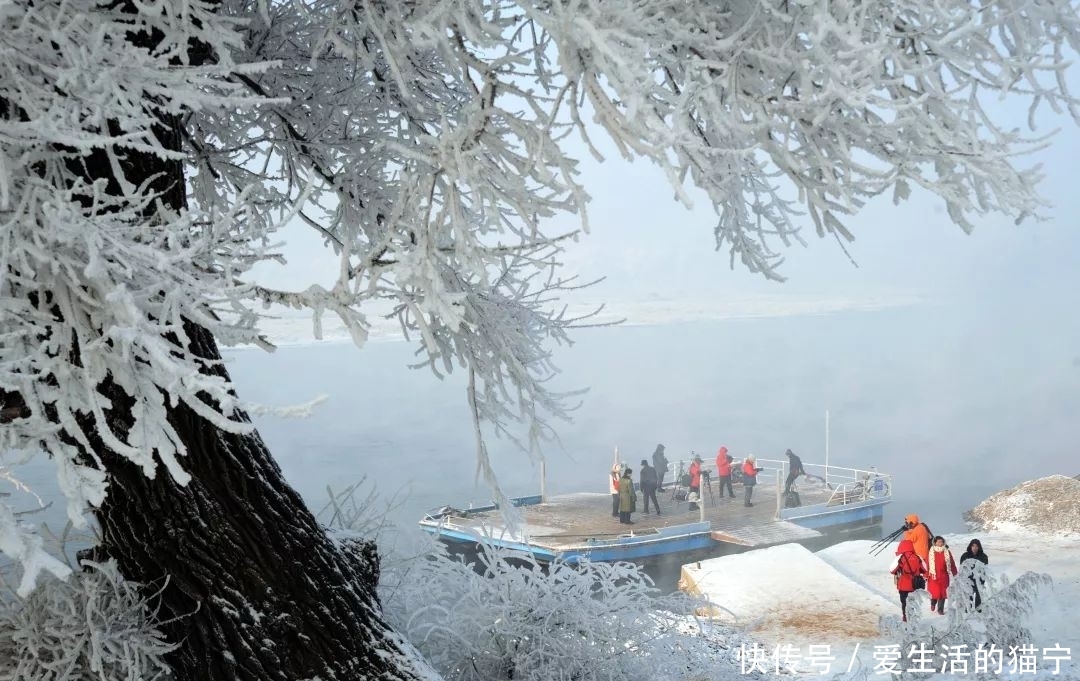 恍若仙境!吉林雾凇今冬首现身!