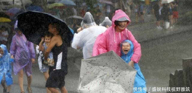 最强台风利奇马肆虐杭州,直击西湖边游客抗台,直呼路都不走稳
