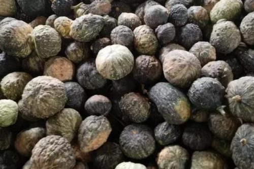  板栗：零售5元一斤，产地11月却只有1毛一斤，农民：一年的辛苦