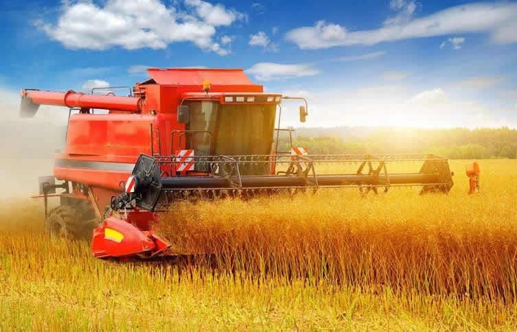 去年我国涉农类上市公司为121家,31家营收超