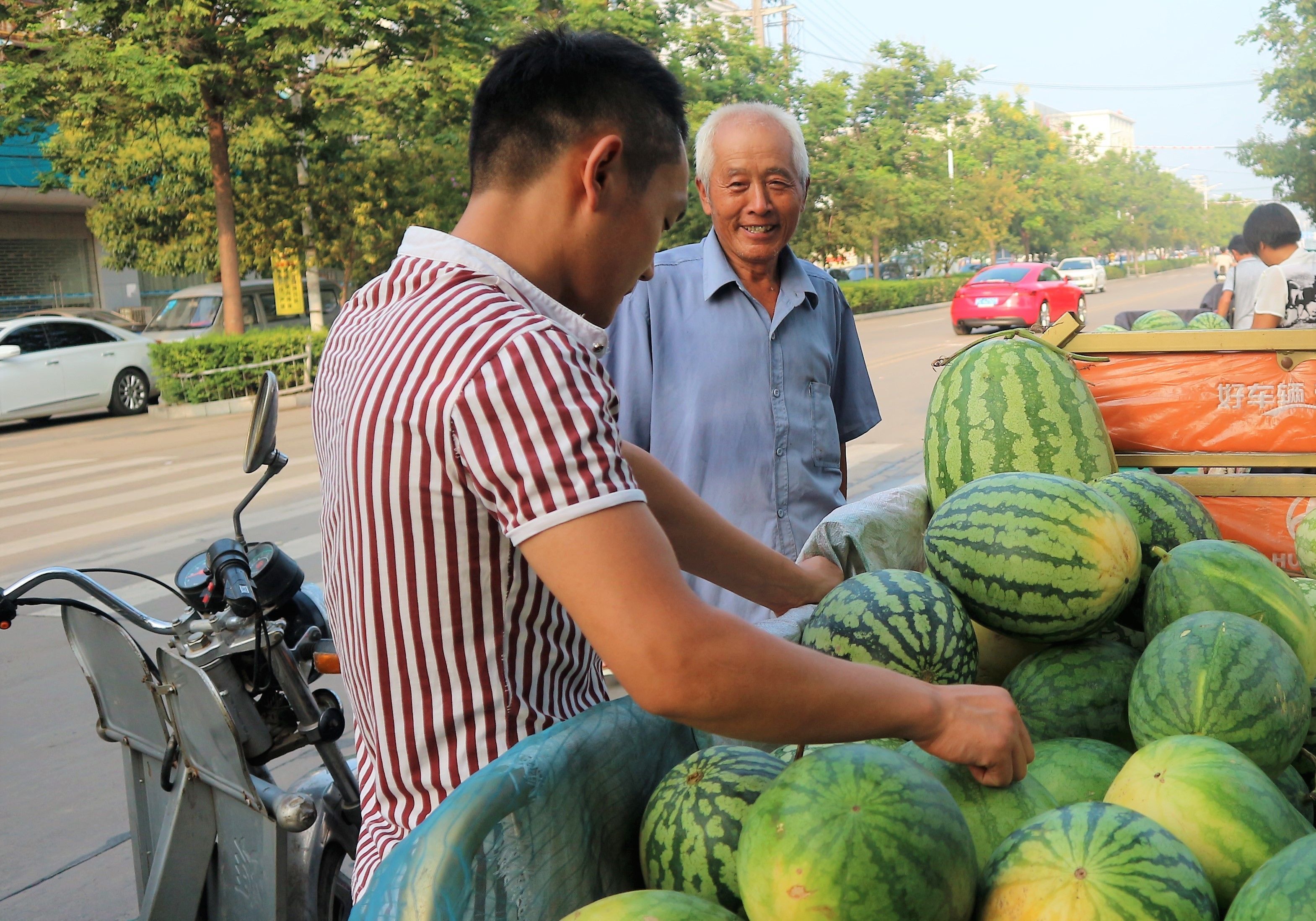 70岁农村老人种植5亩西瓜，能赚多少钱?农民大伯讲出真相