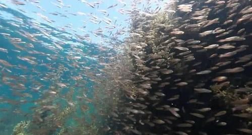 透明度最高的海，能看见海底66米的深度，船像漂浮在空中般