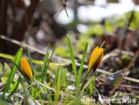 2018年ACCA六月考试成绩什么时候出_【快资