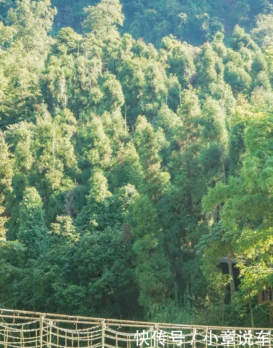 峨眉山，被低估了的四川避暑王者！