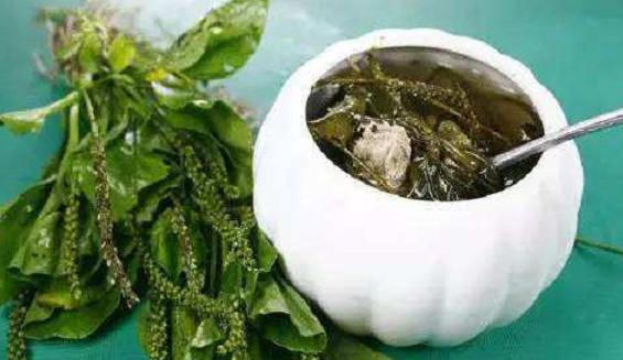  「见到」过去农村常见的一种野草，是珍贵的中草药，见到请别再