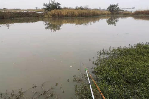  【出钓】小雪过后最适合钓鱼的4种天气，这些天气出钓，一天不停