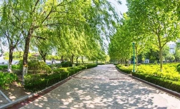  「寄一缕春风」微风吹，暖春至，让我们怀着无尽的思念去潍医校园走走看看吧
