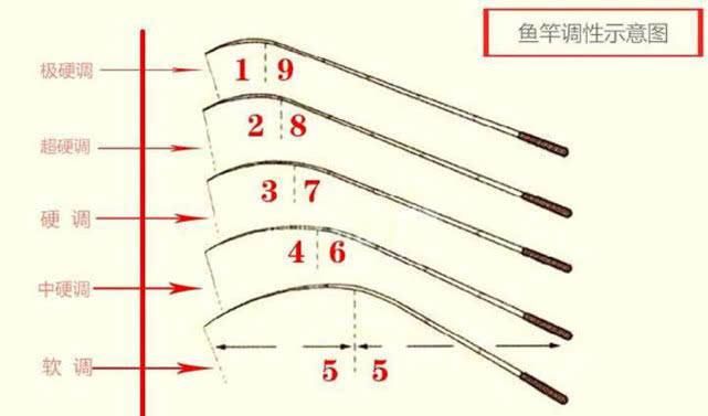  #大小#钓鱼细节：不同“调”性的鱼竿，感受不一样，所用鱼线直径也不同