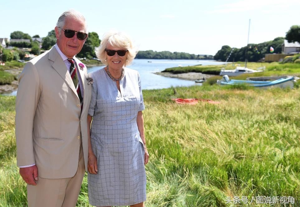 卡米拉半身照:紧身连衣裙包裹上半身，皱纹明显比女王还显老