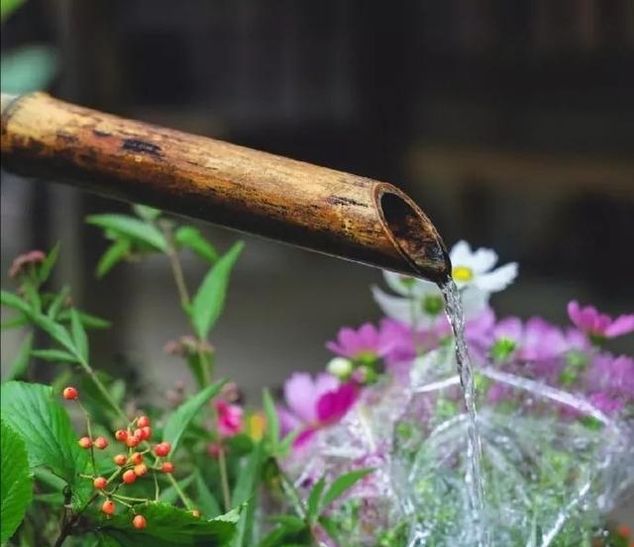 秋来伏未去，十首诗中觅清凉