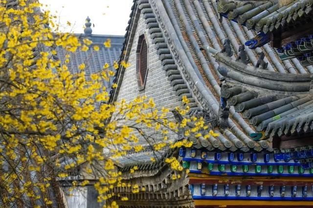  「日子」在湖北，想念寺院的这些日子，我们一起“云赏”春景