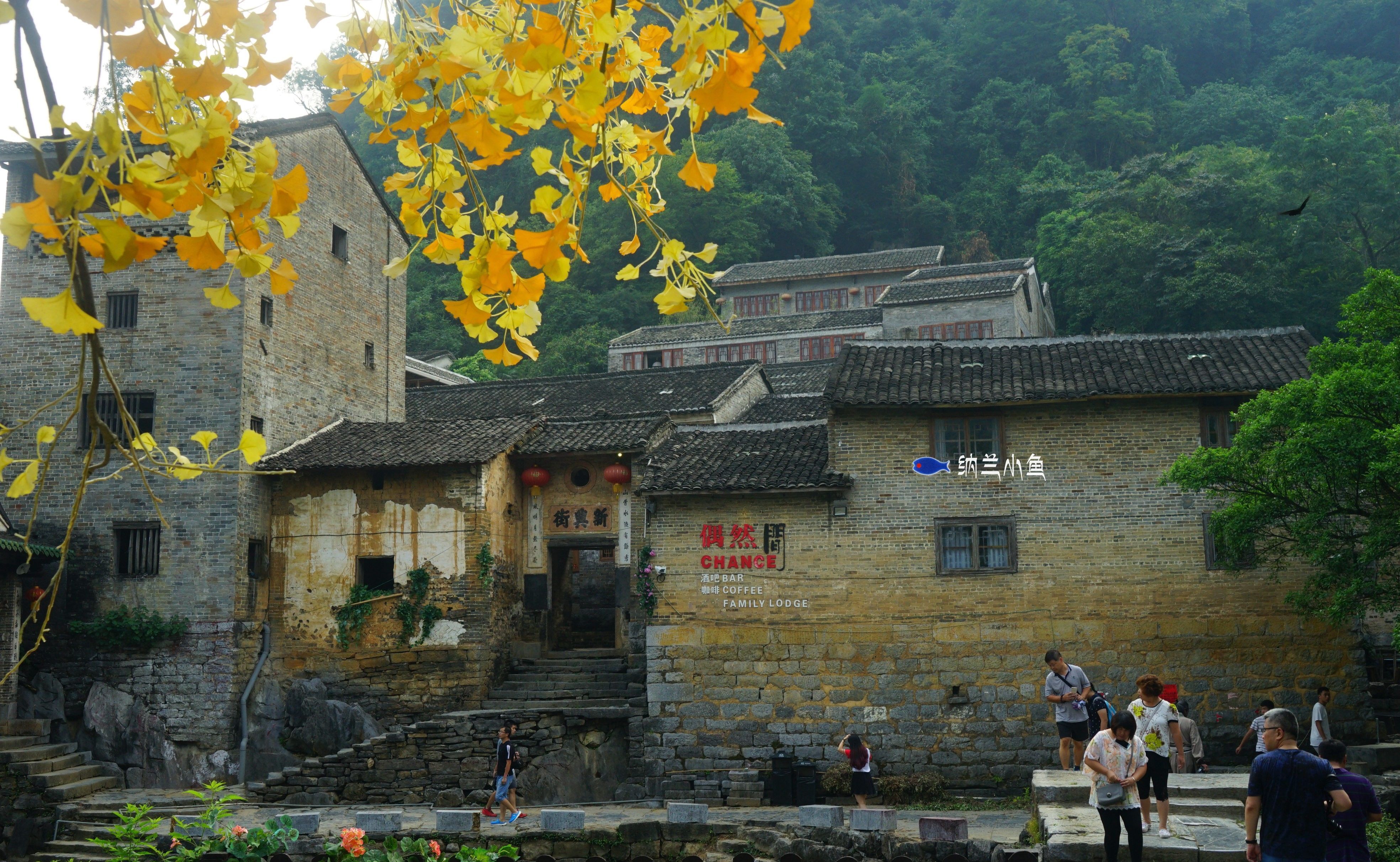 广西贺州有个低调的千年古镇 美景不输周庄凤凰 古朴大气等你来玩