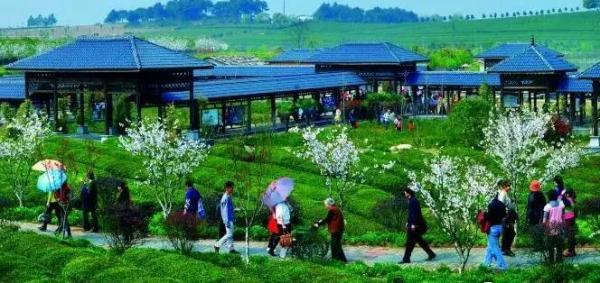 好消息 厦农村户口的有福了 国家最新政策 身价暴涨