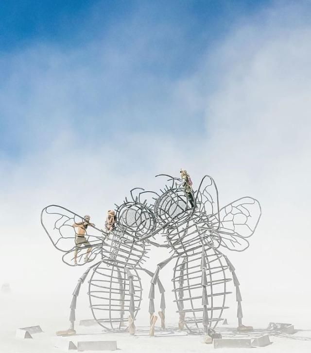 每年的这个时候，美国有一片沙漠就会变成世界上最离奇的地方