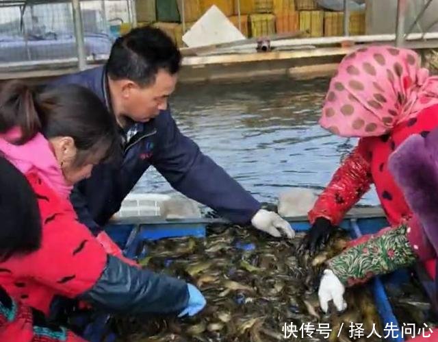 农民用鱼塘改造来养“它”，一斤可卖30元，一年可赚几十万！