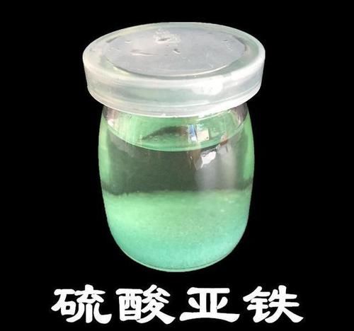  「软肋」栀子花“黄叶”毛病多？避开2个软肋，随随便便养活，绿叶满盆花
