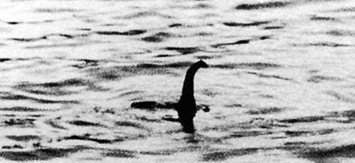 世界上尼斯湖水怪真的存在图片 t015ec8dcc8ec064b00.jpg?size=515x237
