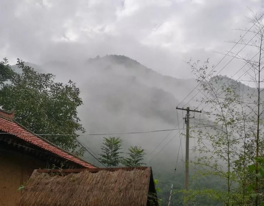  「院子里」想要个这样的小院子，门前屋后种满花，日子慢悠悠！