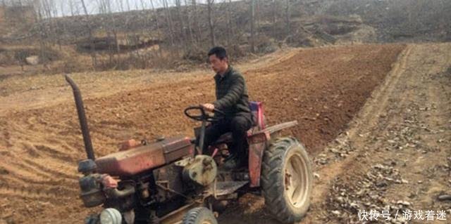 承包地种树怪象刚来，农村又出现2种怪风气，老农无奈又头疼