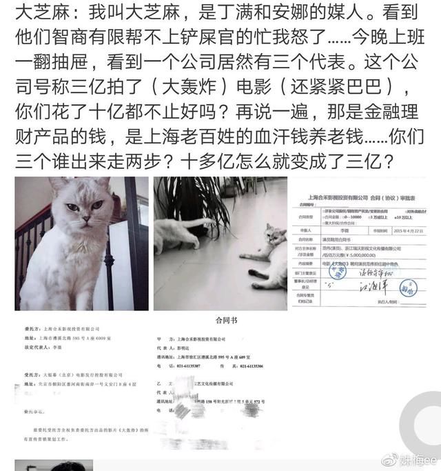 大芝麻爆料铲屎官崔永元被套路，袁立一句赶紧转发令人心酸