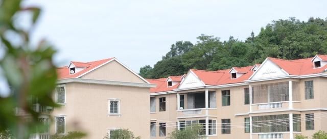  【回村】年轻人回村盖房子是为了“留后路”吗？