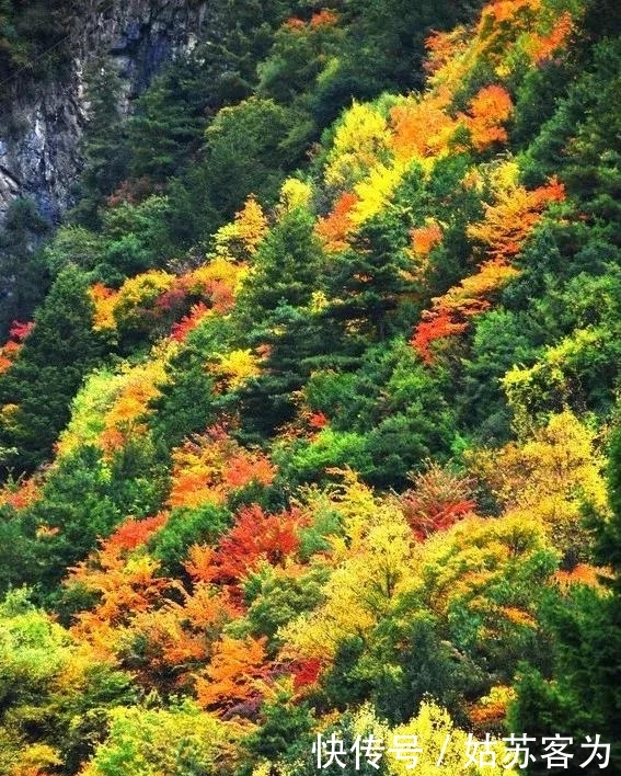 中国金秋10大最美红叶林，火红撩人，每一处都令人惊艳