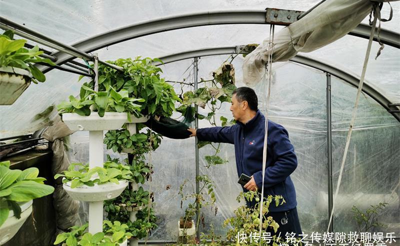  何建华：57岁大叔自家楼顶建“空中菜园”，瓜果蔬菜俱全，年产