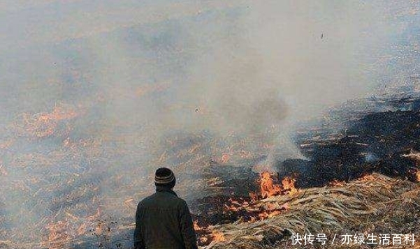  「秸秆」农村实行禁止焚烧秸秆，老农却提出4个问题，专家被问的