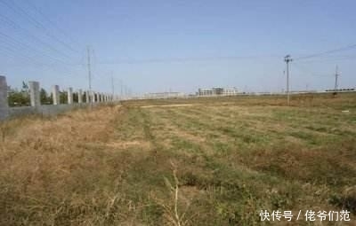 江西一些地方稻谷只卖到0.71元一斤，田地还能种吗？