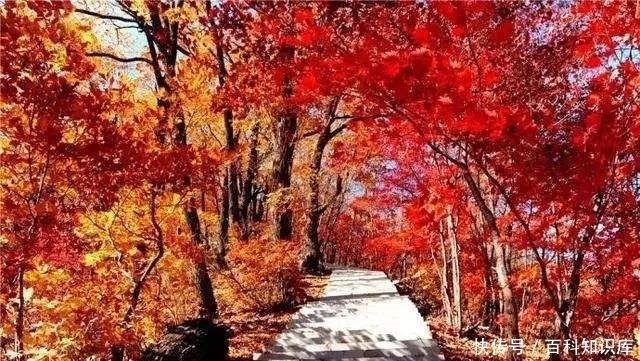 中国最美的八个赏枫之地,每一个都是人间仙境,快来看看吧