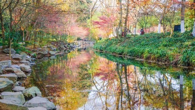 中国最干净的城市,不是广州也不是上海,堪比日本,被誉为天堂