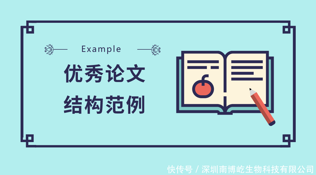 论文不会写怎么办?按照这八大结构,写论文so
