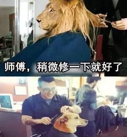  「特别」男生去理发时,万万别说这4句话,特别第4句,后悔都来不及!