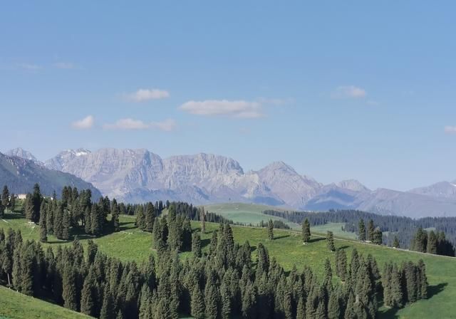 96天、上海女司机自驾新疆17191公里！具体路线来了，请查收