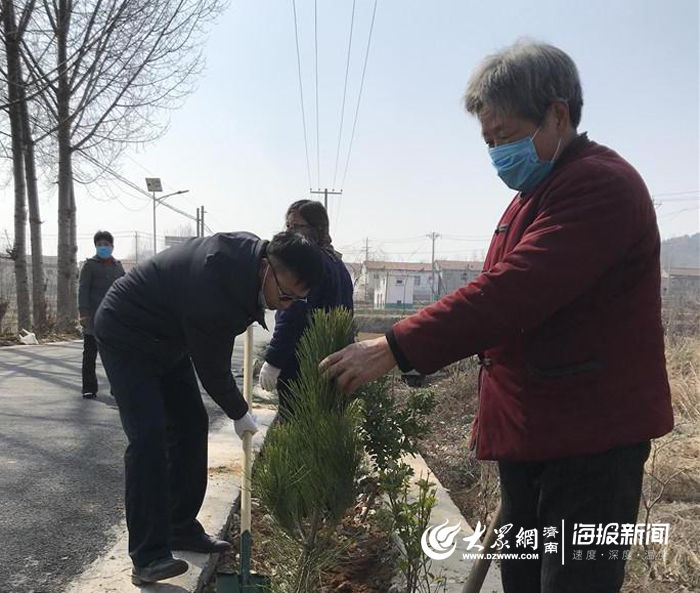  [树苗]大王庄镇：植树造林添新绿 乡村振兴增活力