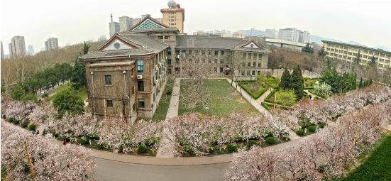 寻一片落英处，赴一场樱花约！