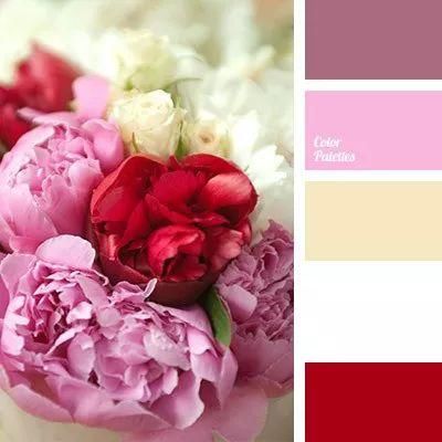 初秋这些颜色穿在一起，显白又高级!