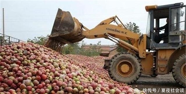  [农产品]水果滞销后，为何总是中间商背锅？