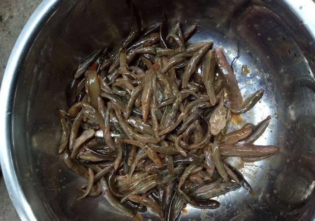 打工仔■打工仔回到家乡,再钓一次故乡河里的小鱼
