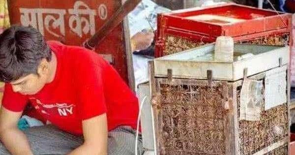 印度夏季高温50多度，街头随处可见睡觉的人，他们是如何避暑的？