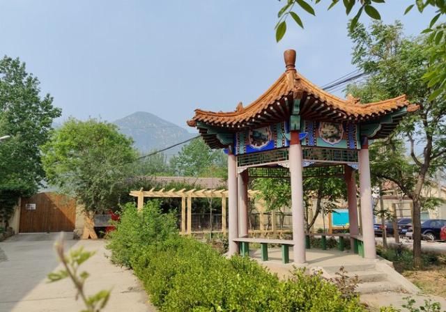 「再次」“旗舰杀手”的再次蜕变 一加8 Pro拍照专项评测