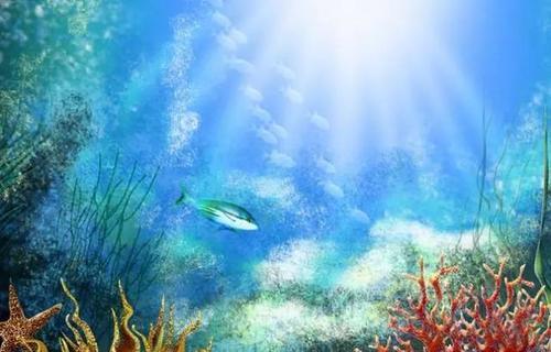 一旦去了这些地方，其他就都成了将就！