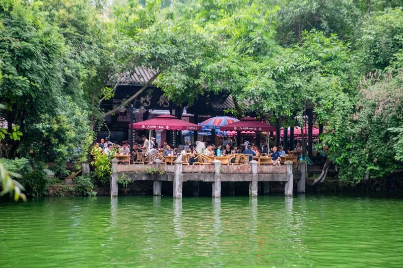 去成都旅行为什么一定要去茶馆喝盖茶?游客:来了不想走!