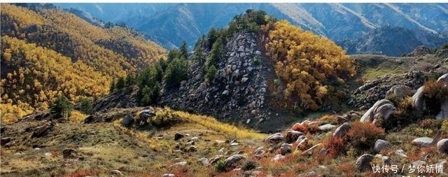 这是一张巴彦淖尔的“新名片”