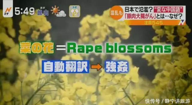 日本那些让人窒息的中文标语，原来是这样搞出来的，游客：无语！