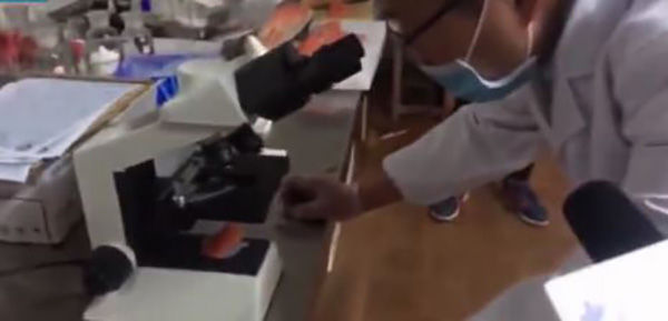 国家卫健委发文称国产虹鳟未检出寄生虫，一天后文章便被删除