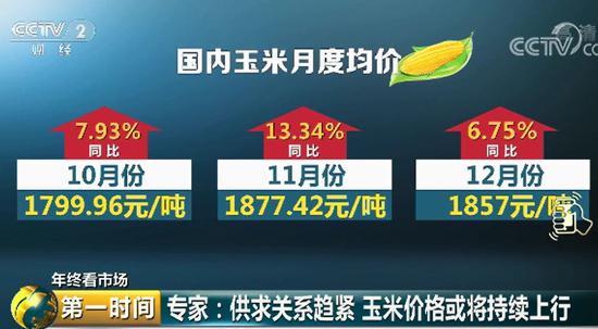 玉米价格高涨背后：东北粮源减少 企业深加工需求旺
