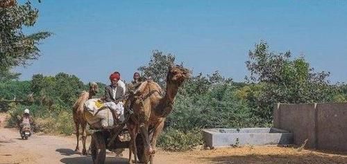 为何印度面积连中国一半都没有, 但公路里程数却比中国还多?